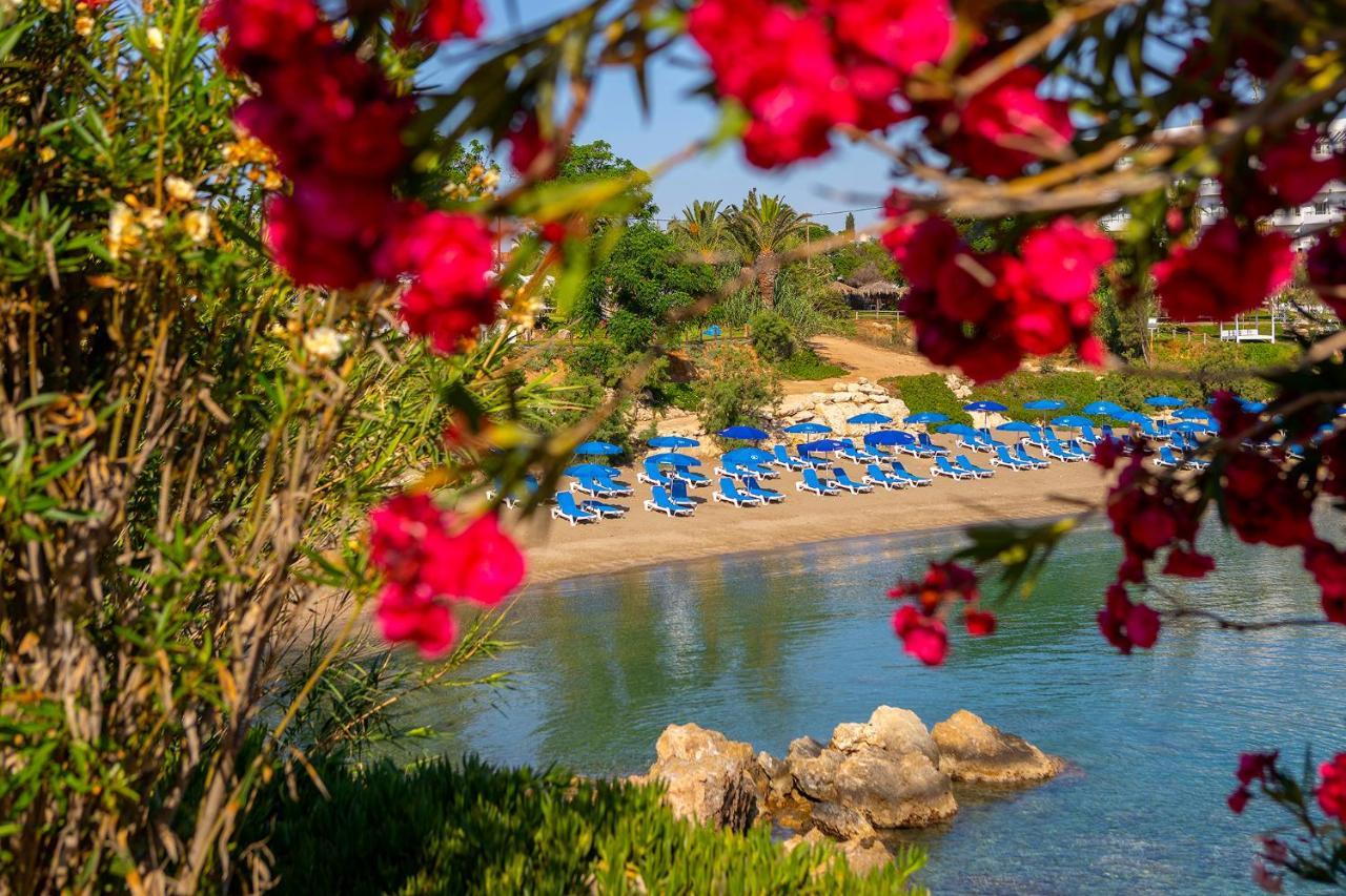 Crystal Springs Beach Hotel プロタラス エクステリア 写真